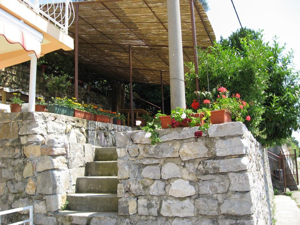 Apartments Olga Tivat Extérieur photo